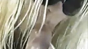 Hot vieilles salopes en rut Cougar offre sa chatte à son beau-fils
