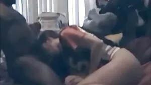 Léchage de chatte